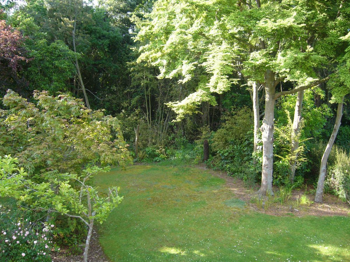 Forest Manor Geraldine Exteriör bild