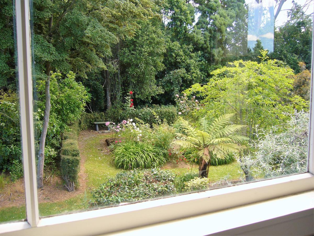 Forest Manor Geraldine Exteriör bild